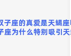 双子座的真爱是天蝎座吗 双子座为什么特别吸引天蝎座